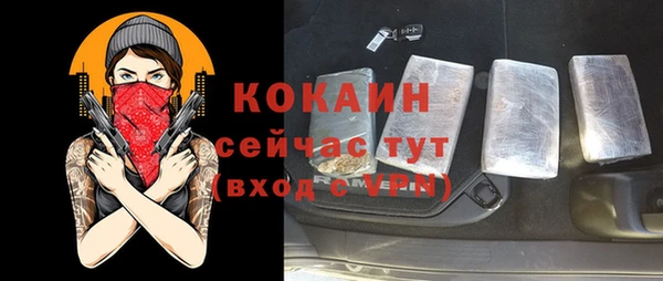 ПСИЛОЦИБИНОВЫЕ ГРИБЫ Инта