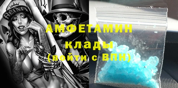 ПСИЛОЦИБИНОВЫЕ ГРИБЫ Инта