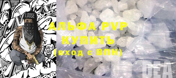 ПСИЛОЦИБИНОВЫЕ ГРИБЫ Инта