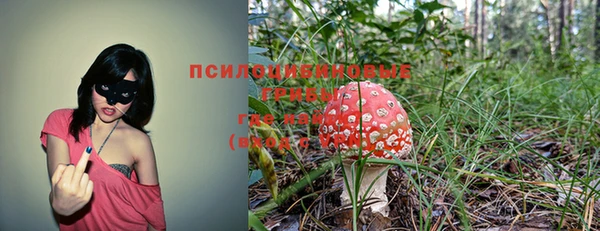 кокаин Инсар