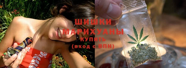 гидропоника Иннополис