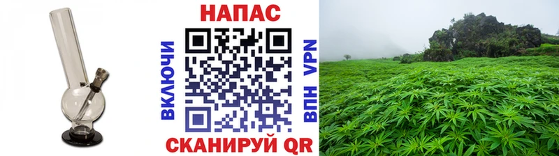 Марихуана семена  Купить закладки  Москва 